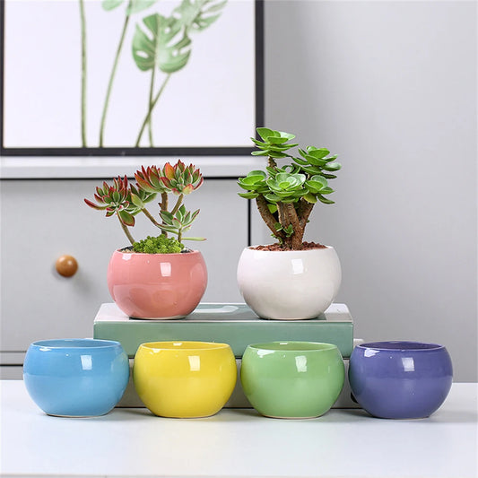 Succulent Flower Pot With Breathable Hole Indoor Garden Creative Mini Potted Home Decor Potted Succulent Plant