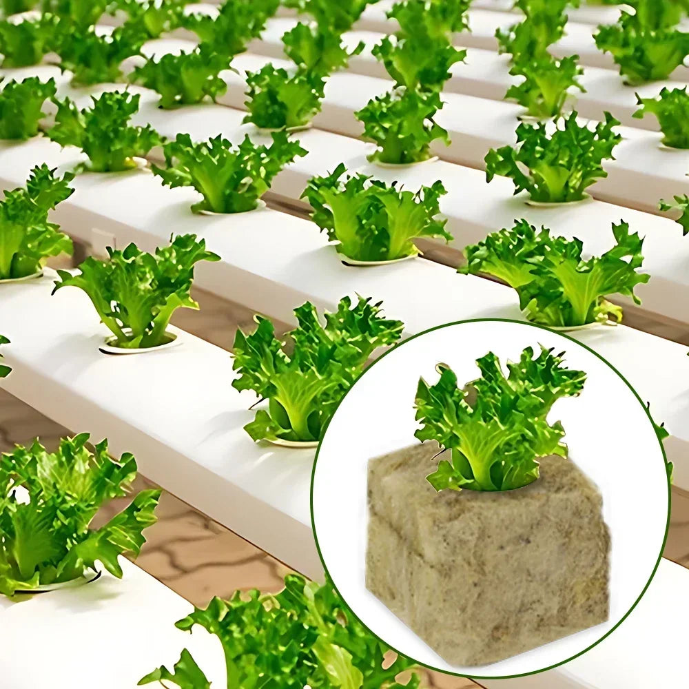 Stonewool Hydroponic Grow Cubes Soilless Substrate Seeded Planting Spong Plug Seedling Block Garden Tools